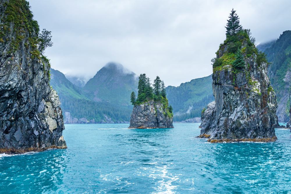 Kenai Fjords