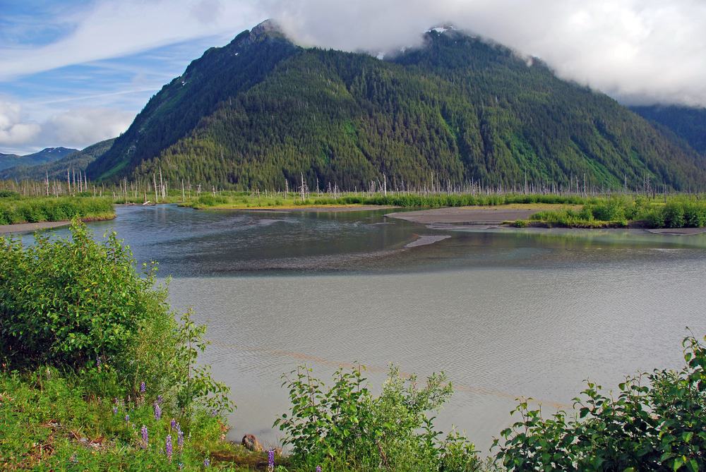 Copper River Delta