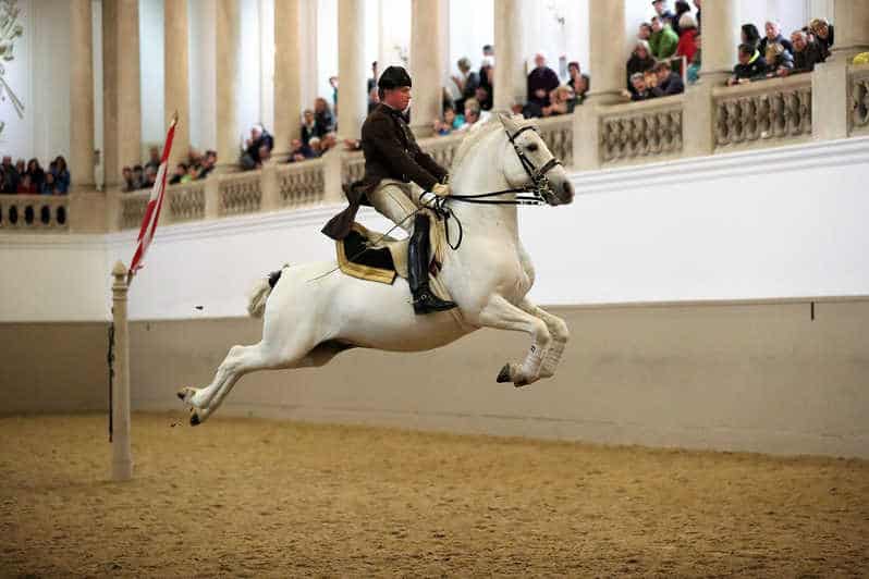 Performance Of The Lipizzans