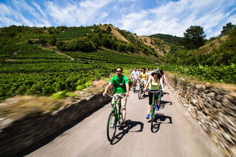 Wachau Valley Winery Biking Tour 