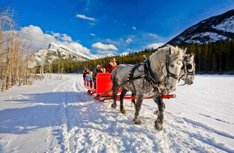 Horse-Drawn Sleigh Ride