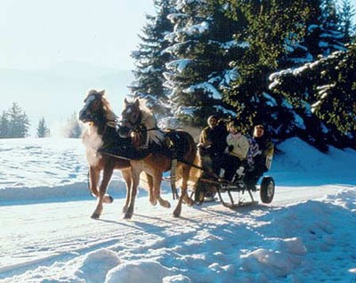 Tour With Horse-Drawn Sleigh Ride