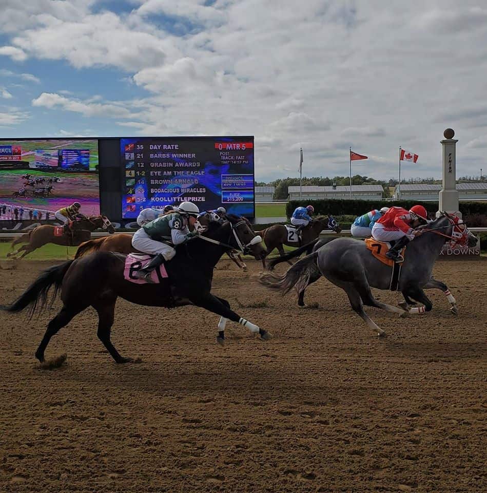 Ajax Downs