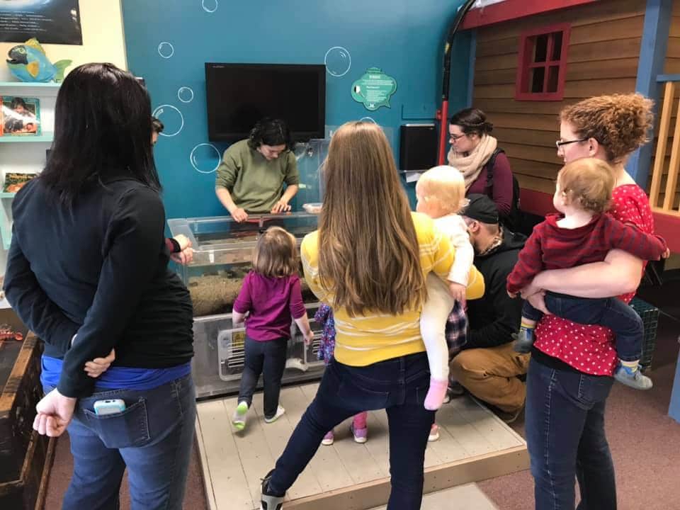 Children’s Discovery Museum