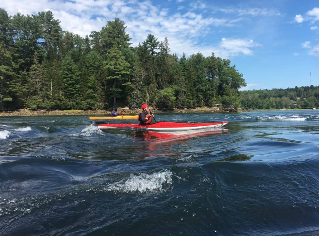 Pinniped Kayak