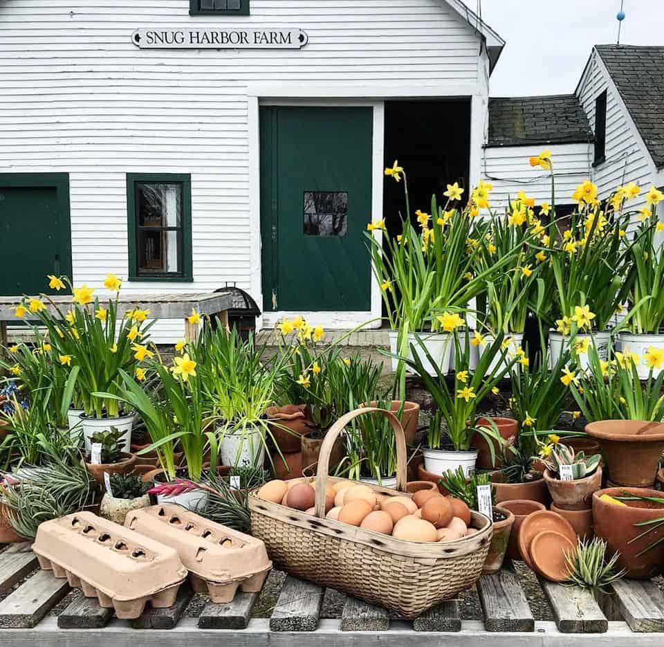 Snug Harbor Farm