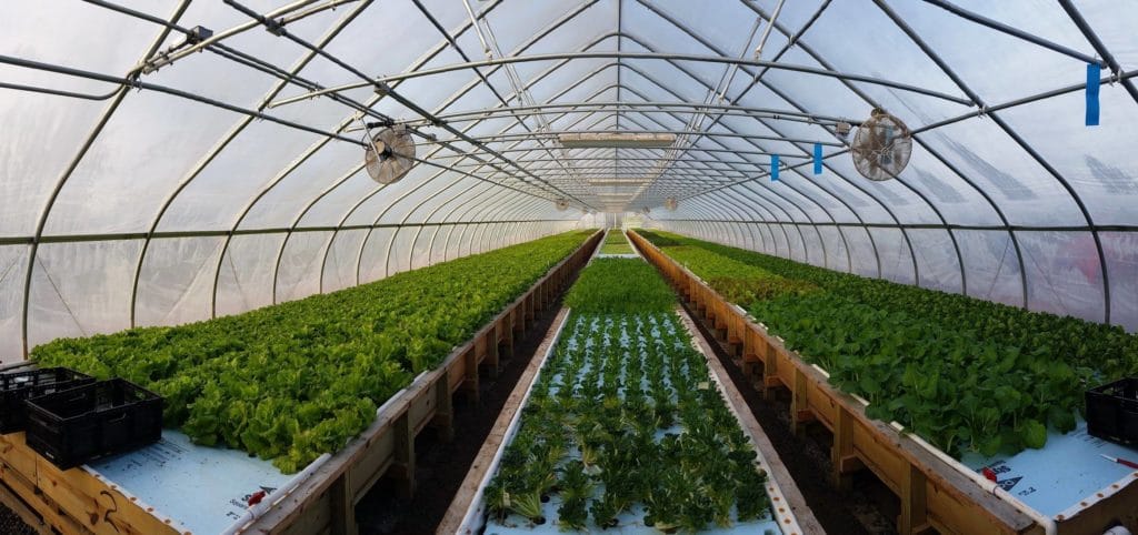Springworks Farm