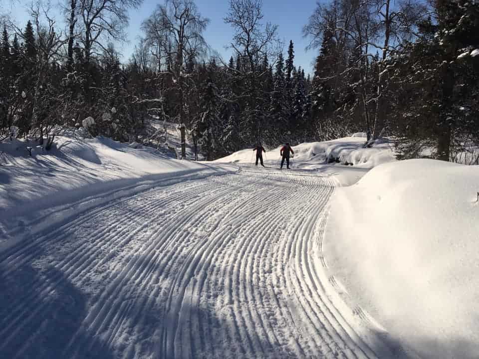 Tsalteshi Cross Country Ski Trails