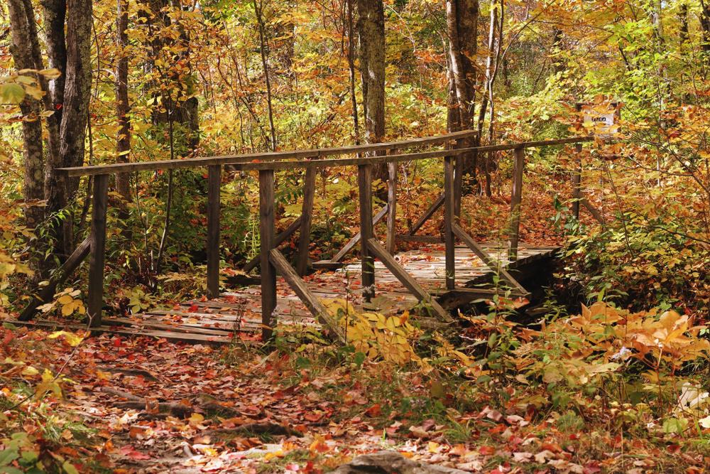 Kennebec River Rail Trail