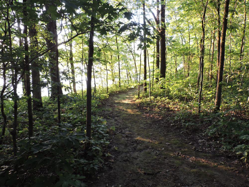 Lake Frierson State Park