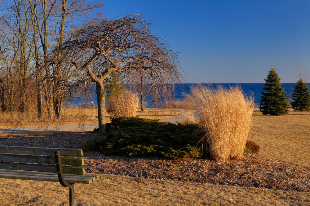 Ajax Waterfront Park