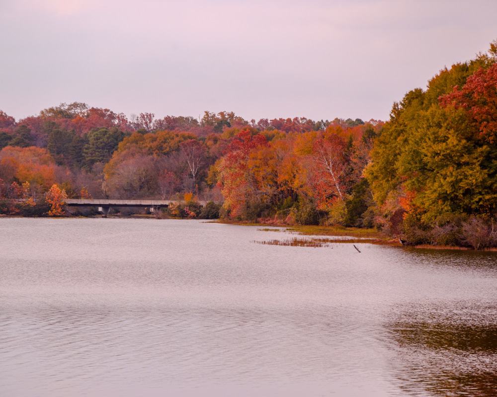 Piney Bay Recreation Area