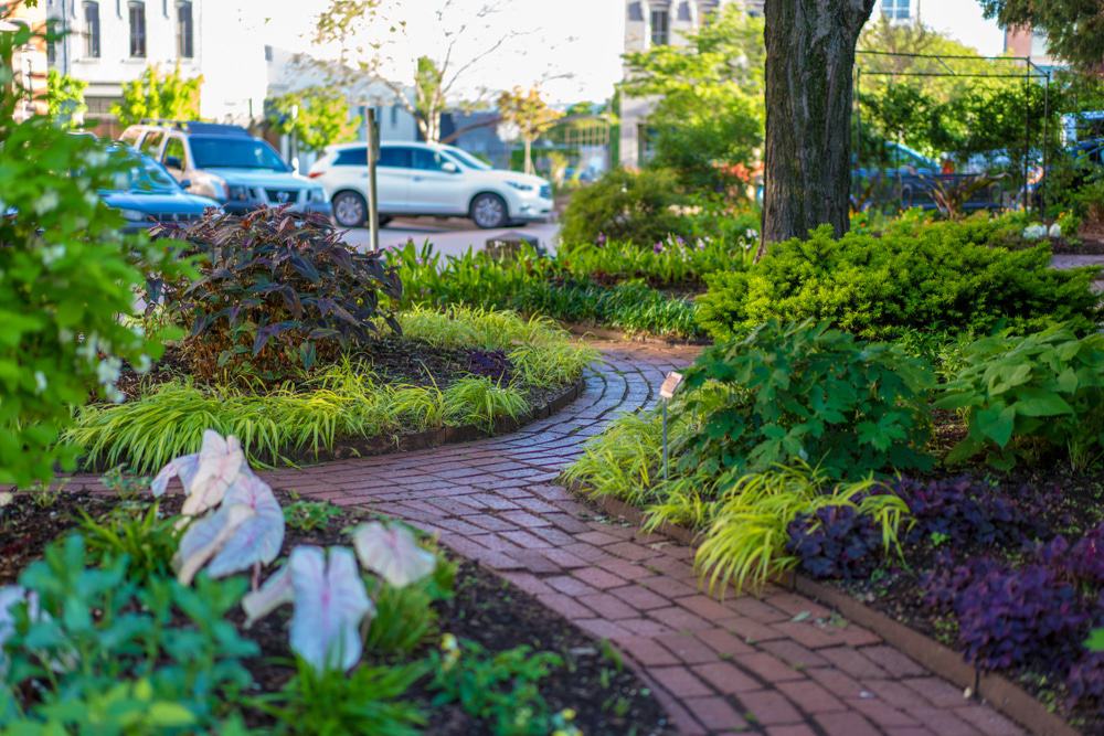 Fayetteville Downtown Square & Gardens