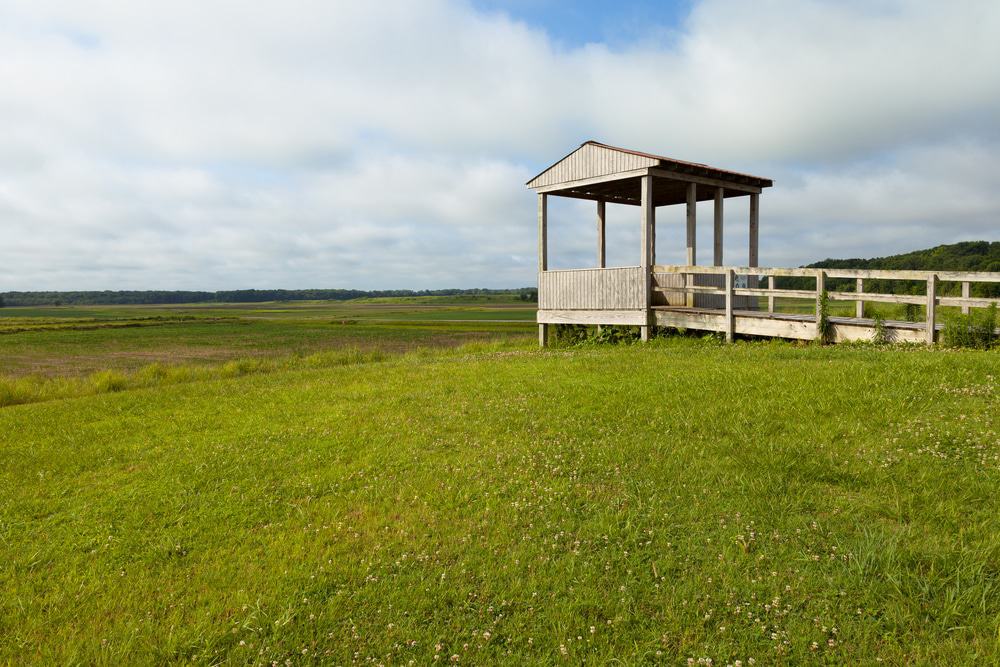 Lower Hatchie National Wildlife Refuge