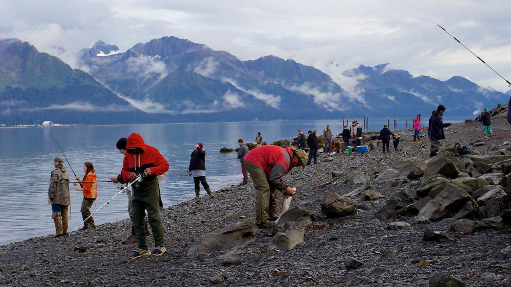 Salmon Fishing In Seward
