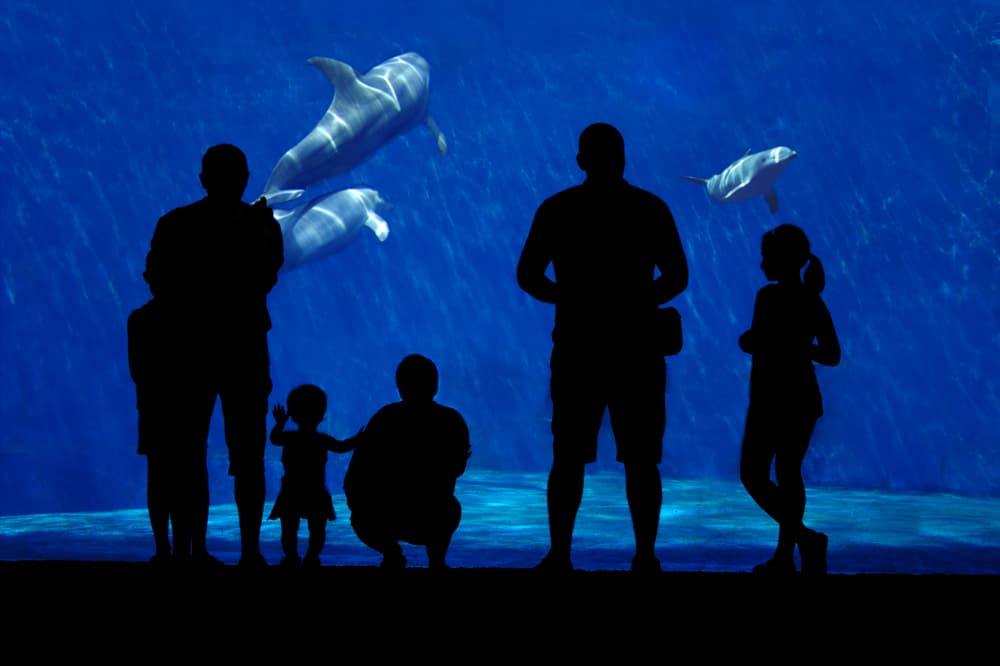 Aquarium of Genoa