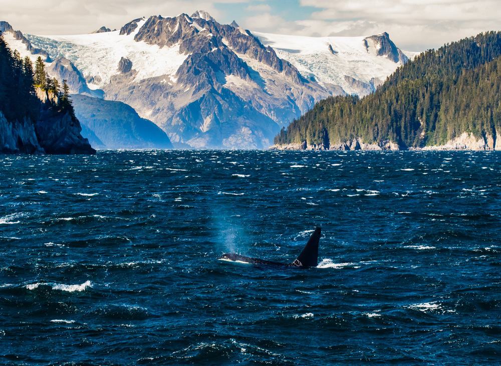 Kenai Fjords National Park