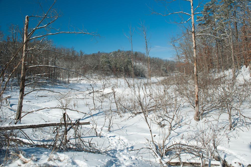 Hobbs State Park Conservation Area