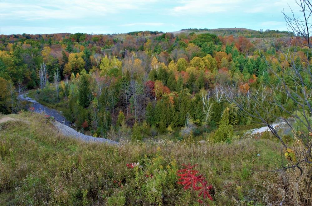 Rouge National Urban Park