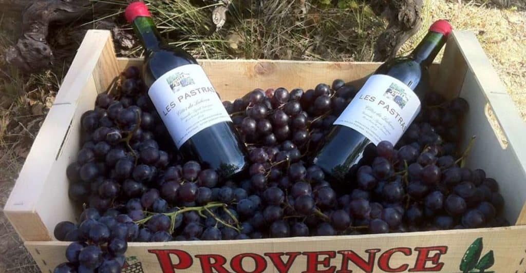 Grape Stomping Tour