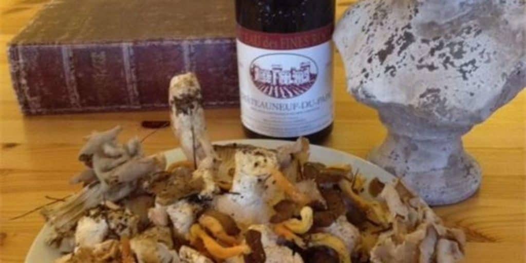 Mushroom Hunting with Outdoor Breakfast