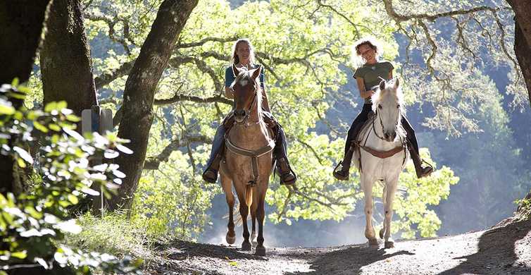 Horseback Riding from Siena