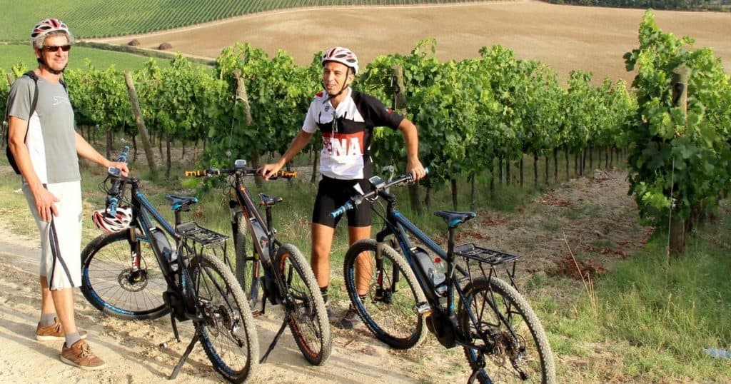 E-Bike Tour with Winery Lunch