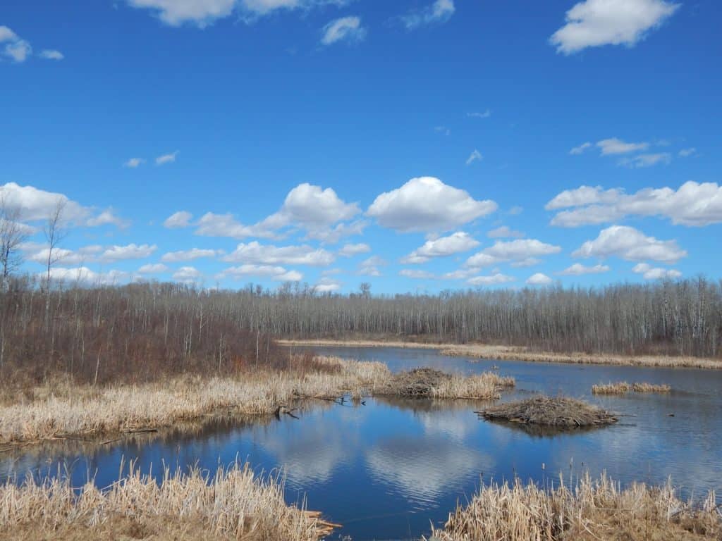 Beaver Hills UNESCO Biosphere