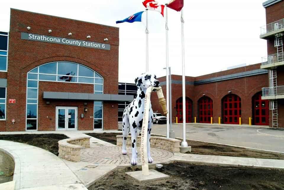 Dalmatian Sadie Outside Of Fire Station