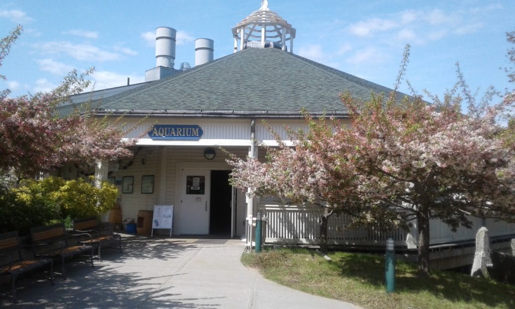 Maine State Aquarium