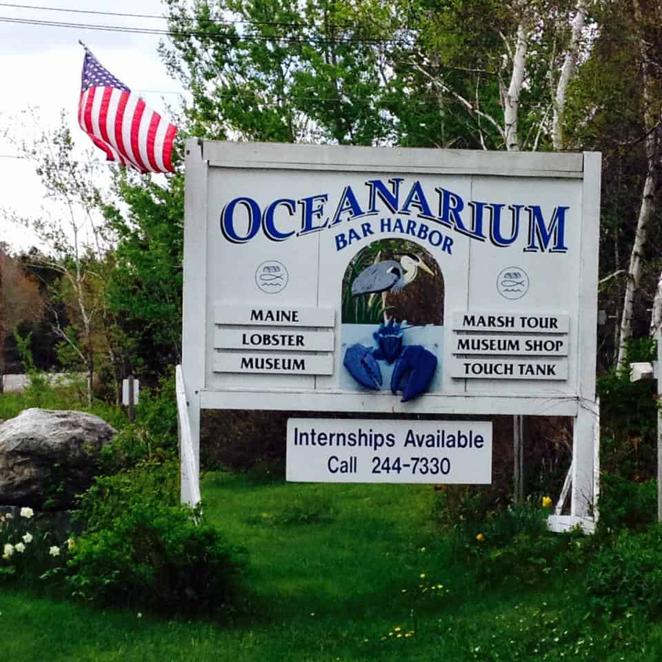 Mount Desert Oceanarium