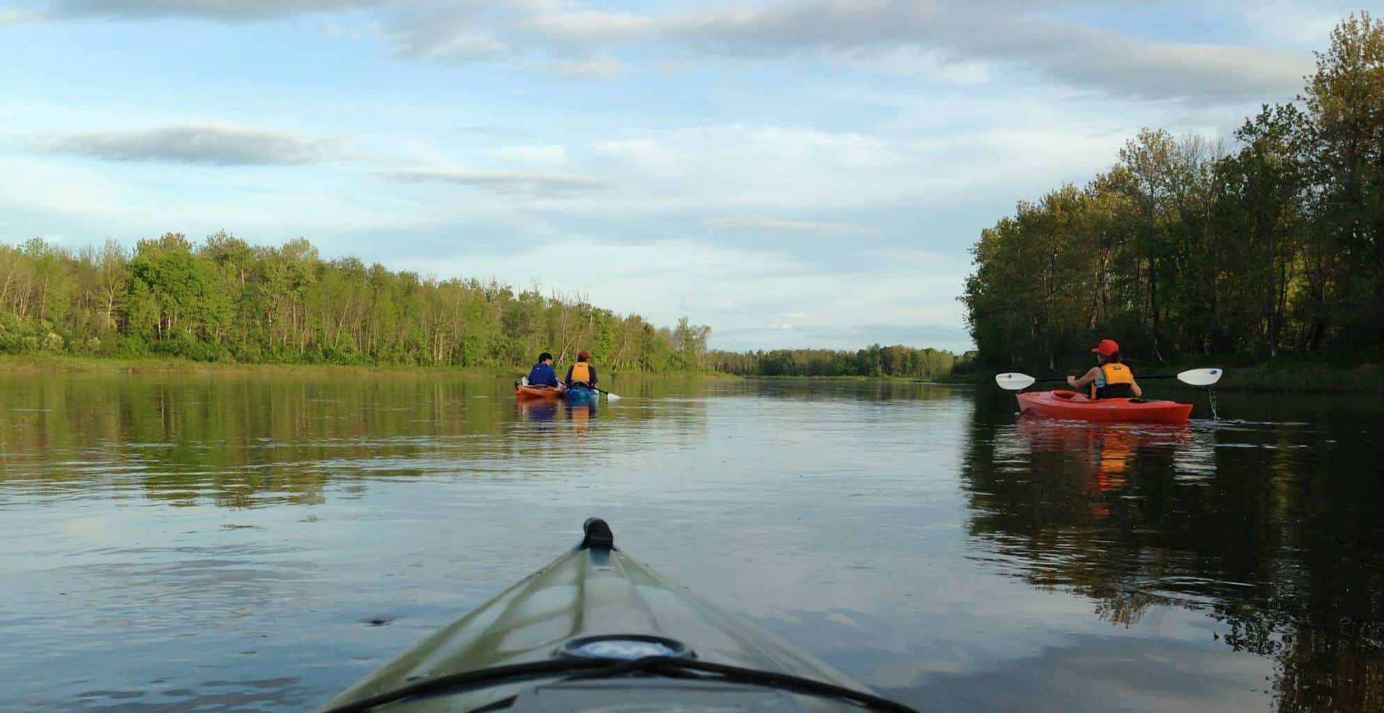 Perception Of Aroostook