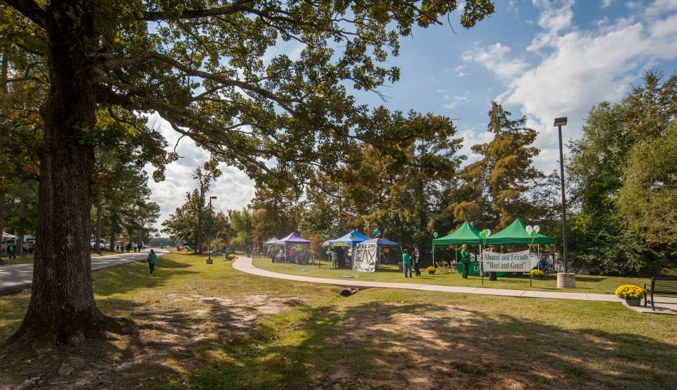 Weevil Pond Walking Trail