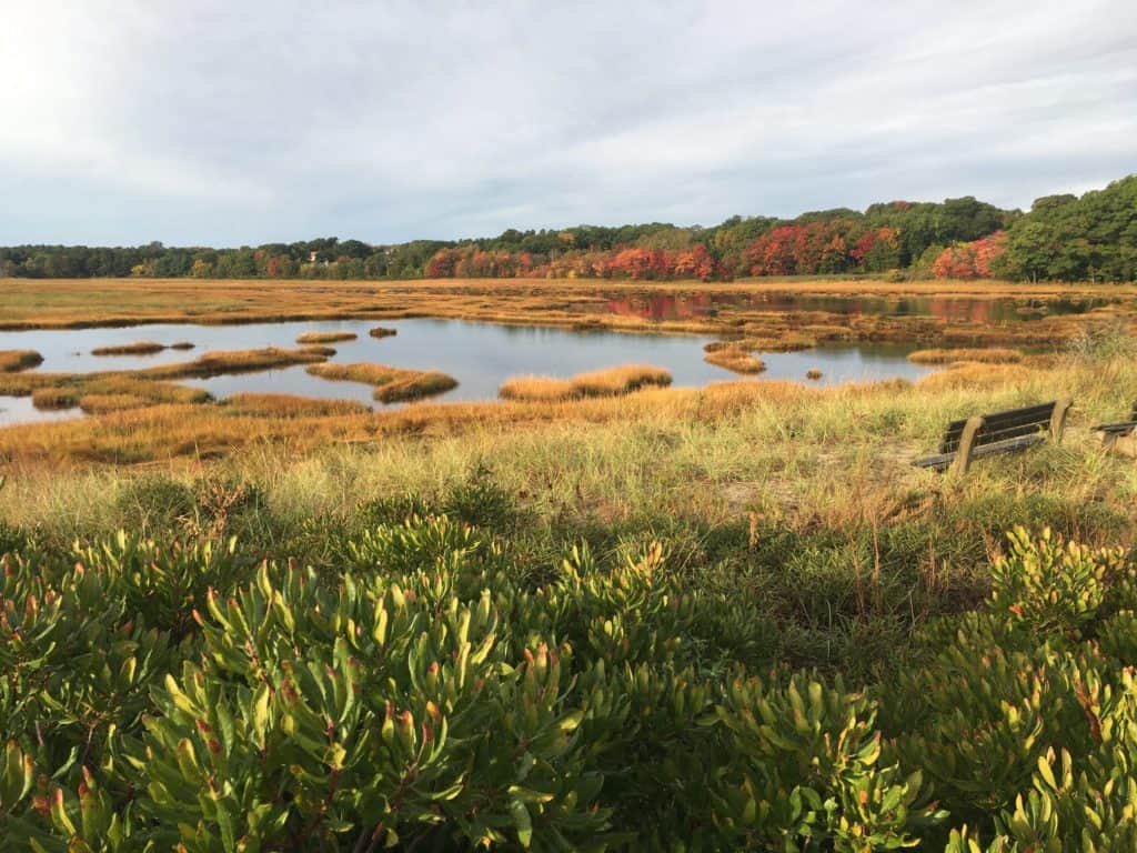 Wells Reserve At Laudholm