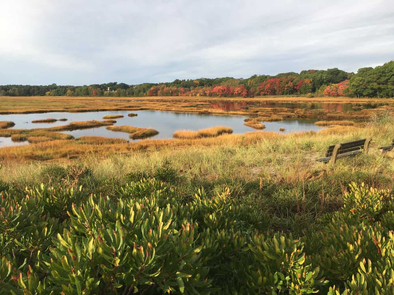 Wells Reserve At Laudholm