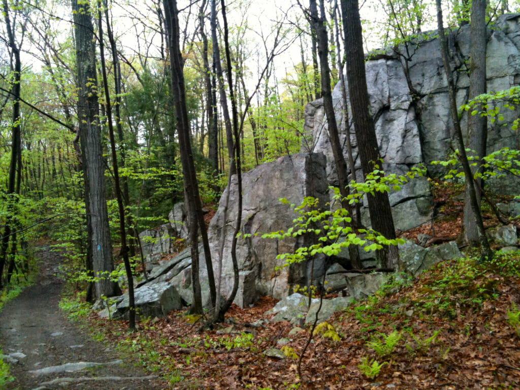 Whitestone Cliffs Trail