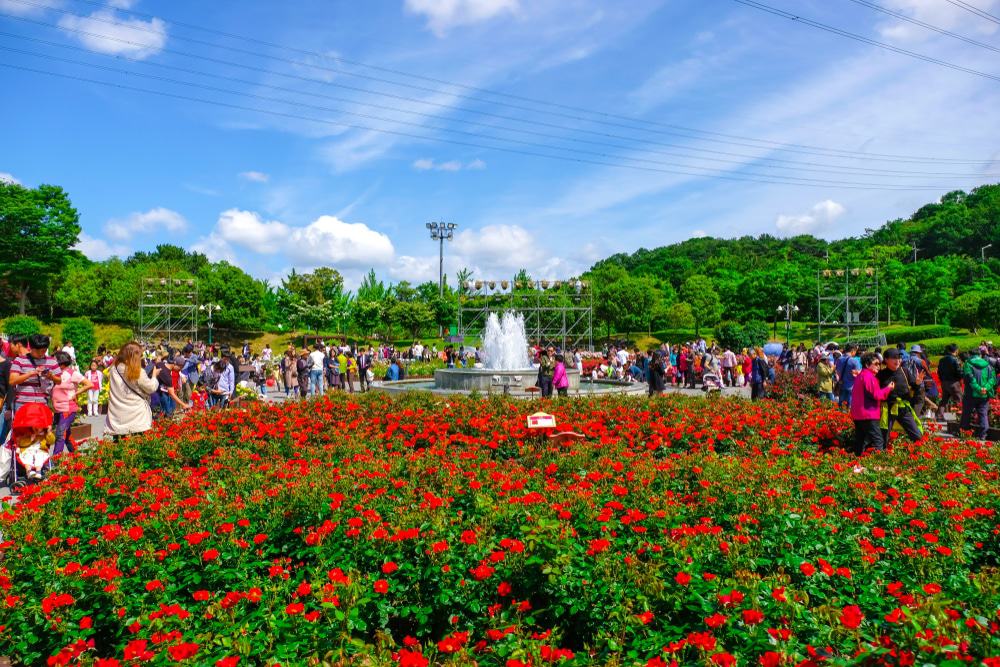 Ulsan Grand Park