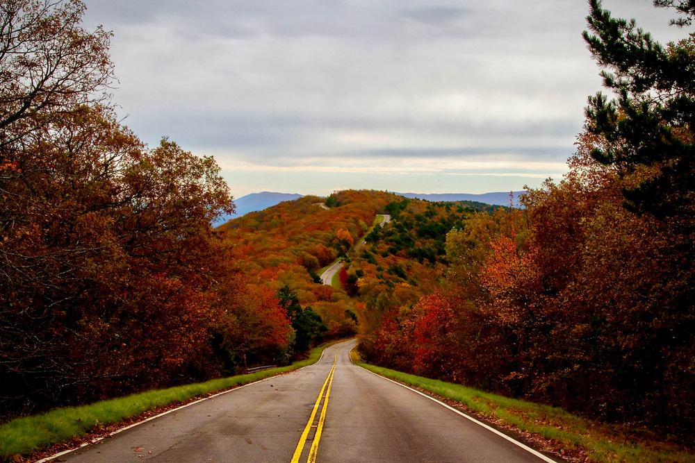 Talimena Scenic Byway In The Fall