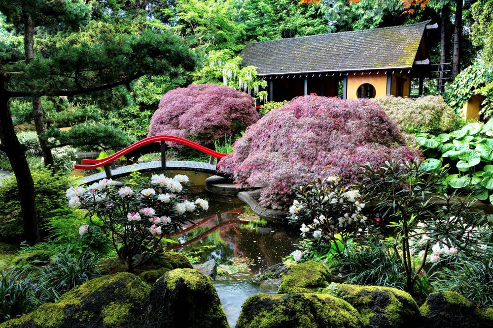 The Park & Tilford Gardens