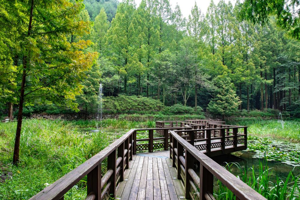 Jangtaesan Recreational Forest