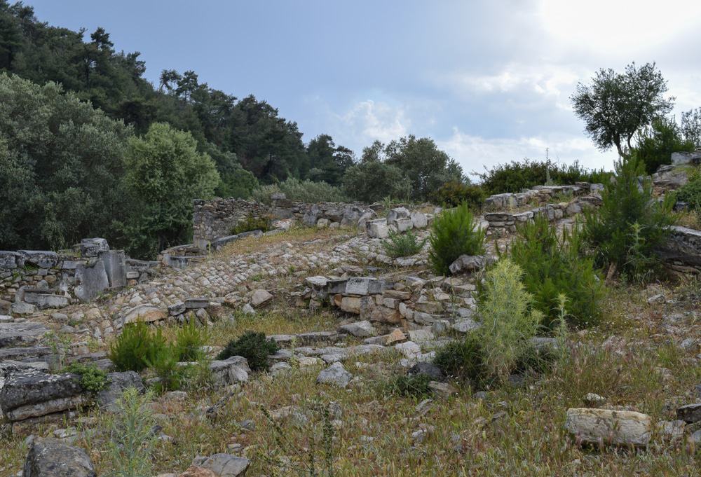 Pedasa