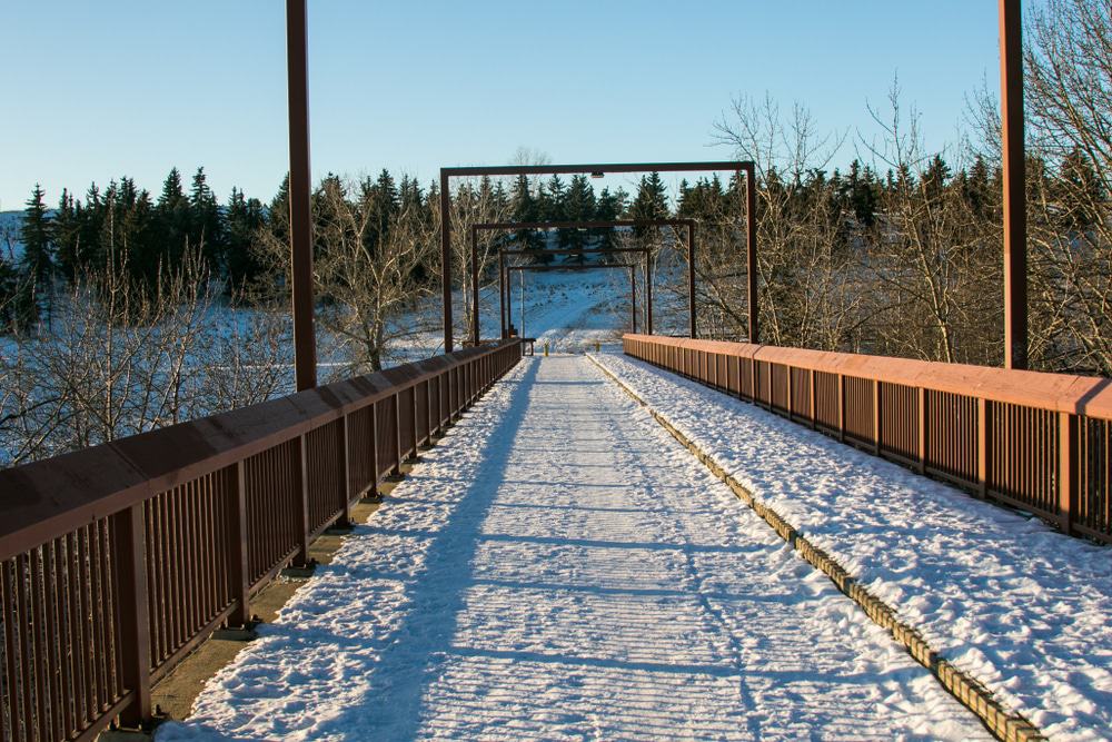 Strathcona Science Provincial Park