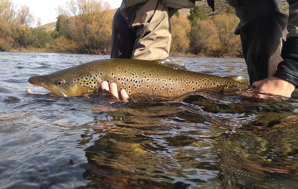 Fishing In Bariloche
