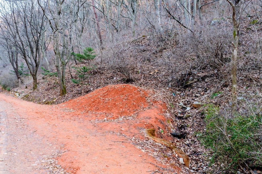 Gyejoksan Mountain Red Clay Trail