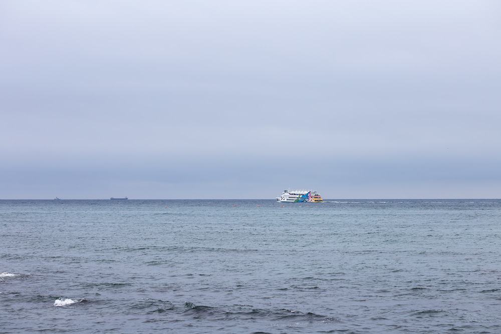 Jangsaengpo Whale-Watching Cruise