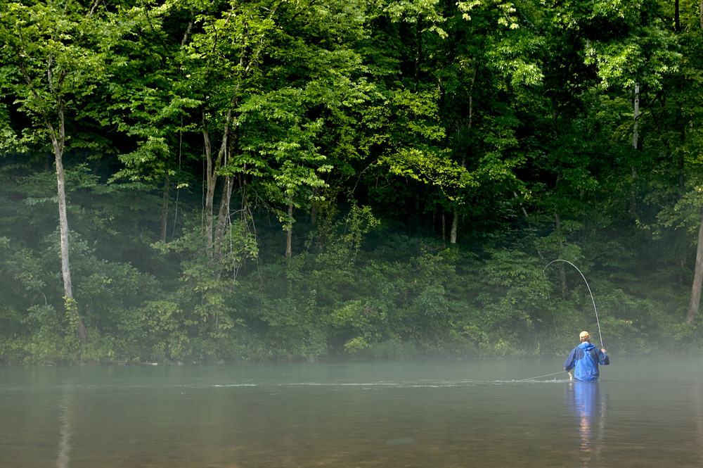 Eleven Point National Scenic River