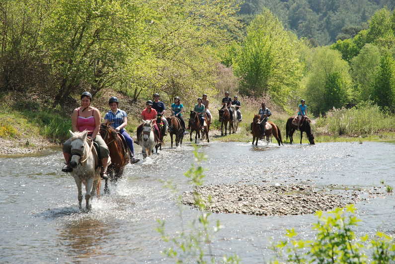 Three-Hour Horse Safari, Marmaris