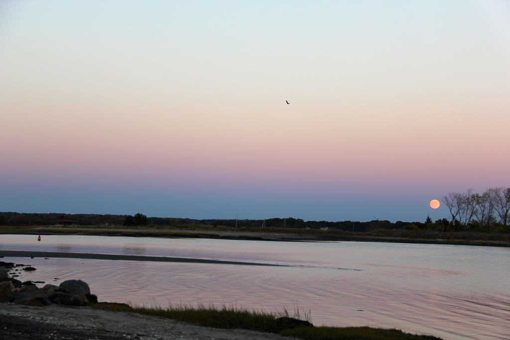 Jacobs Beach