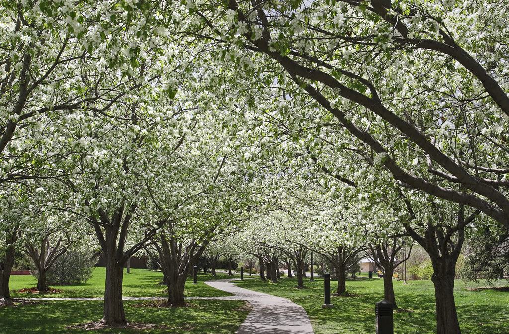 Glenmere Park, Greeley