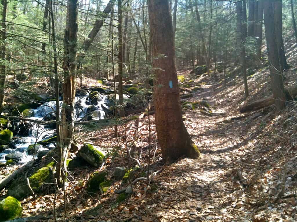 Webb Mountain Park